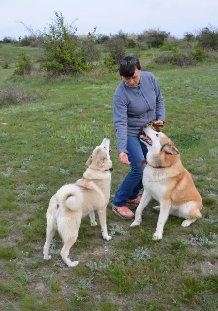 Я Надюня, 51, знакомлюсь для дружбы в Абакане