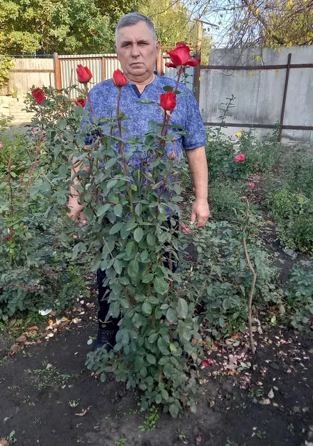 Юрий из Старого Оскола, мне 67, познакомлюсь для приятного времяпровождения