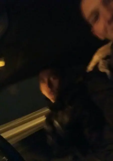 Gowa из Вологды, ищу на сайте знакомства без обязательств