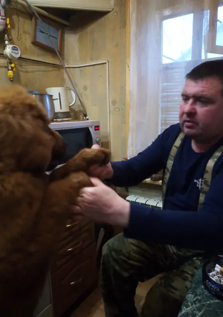 Я Сергей, 51, знакомлюсь без обязательств в Нижнем Новгороде