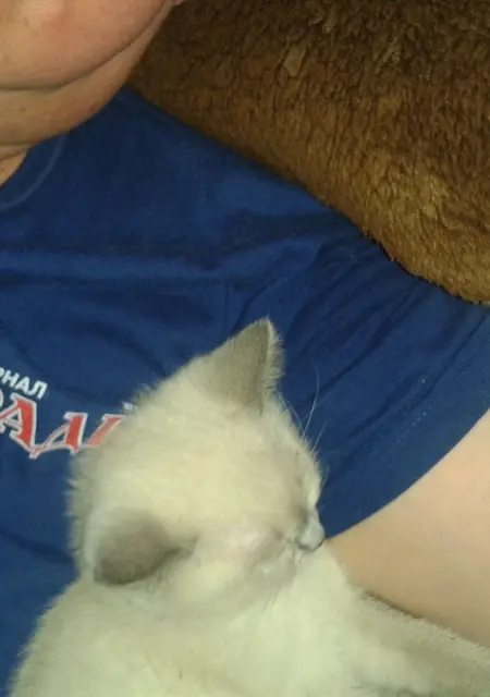 Влад из Сочи, ищу на сайте знакомства на одну ночь