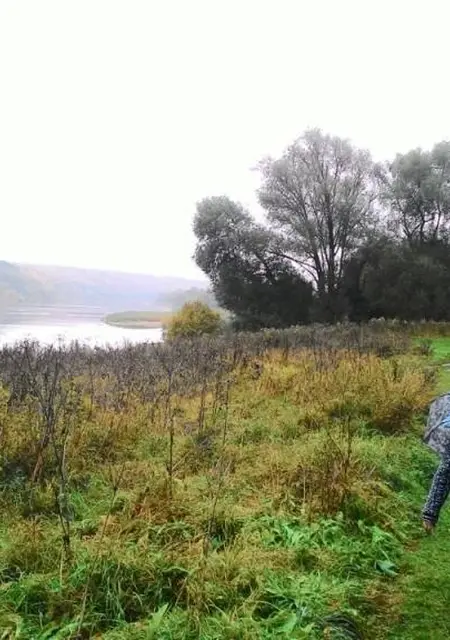 Я Ирина, 60, знакомлюсь для постоянных отношений в Москве