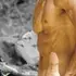 Я Павел, 46, из Минеральных Вод, ищу знакомства без обязательств