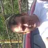 Я Иван, 38, знакомлюсь для дружбы в Красном Сулине
