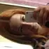 Я Оксана, 28, из Новосибирска, ищу знакомство для дружбы