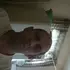Я Анатолий, 48, из Спасска-Дальнего, ищу знакомство для приятного времяпровождения