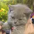 Ольга из Краснодара, ищу на сайте постоянные отношения