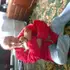 Я Igor, 58, знакомлюсь для вирта в Саратове