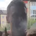 Я Дмитрий, 29, из Липецка, ищу знакомство для регулярного секса